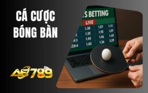 Cá Cược Bóng Bàn