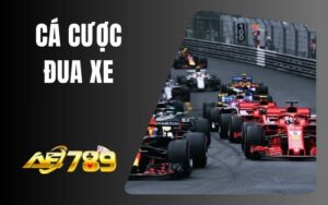 Cá Cược Đua Xe