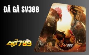 Đá Gà SV388