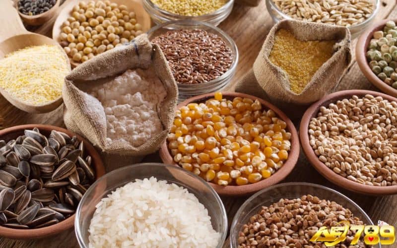 Không nên trộn ngũ cốc với sữa khi cho gà ăn Không nên trộn ngũ cốc với sữa khi cho gà ăn