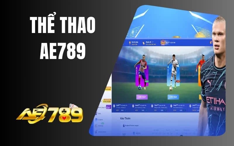 Thể thao AE789 đem đến các bộ môn cá cược thể thao Thể thao AE789 đem đến các bộ môn cá cược thể thao