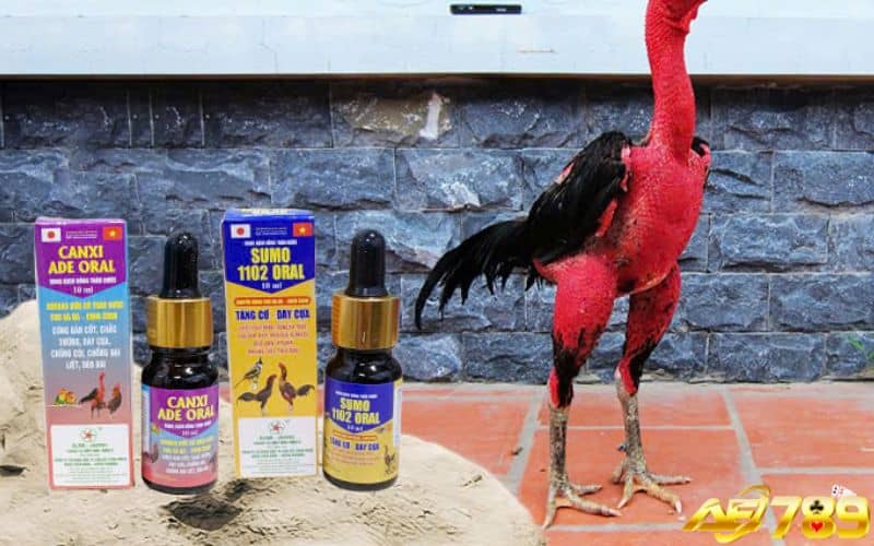 Thuốc điện giải giúp điều hoà nhiệt độ cơ thể gà Thuốc điện giải giúp điều hoà nhiệt độ cơ thể gà