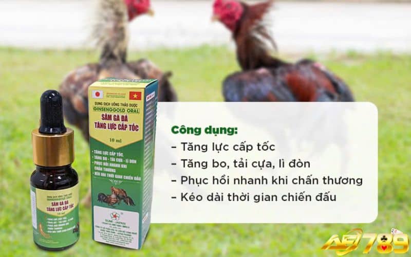 Thuốc phục hồi thể lực cho gà sau khi đá Thuốc phục hồi thể lực cho gà sau khi đá