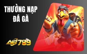 Thưởng Nạp Đầu Đá Gà