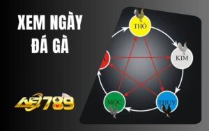 Xem Ngày Đá Gà